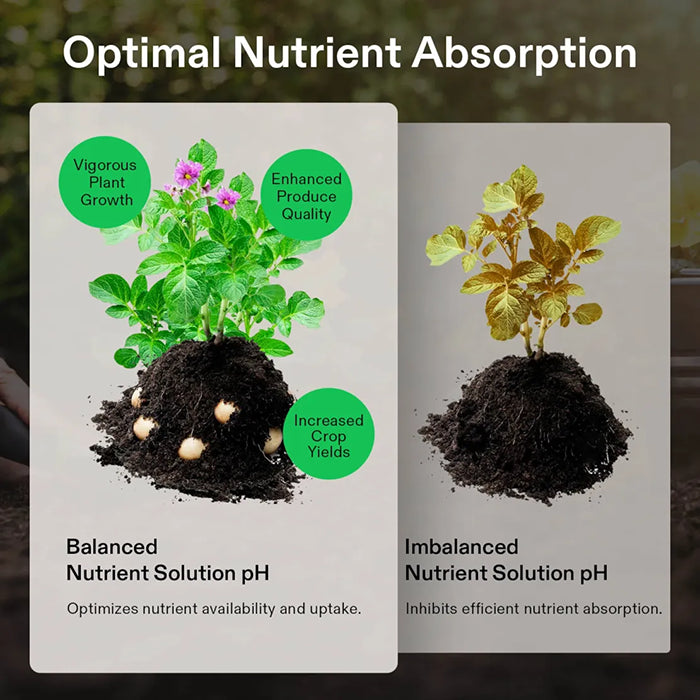 Vivosun pH Up & pH Down Kit, 1 Quart Each