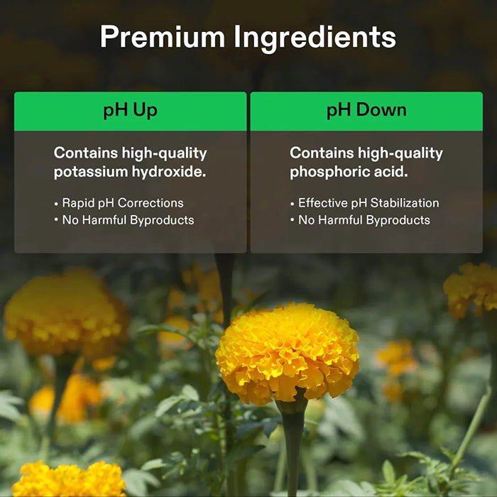 Vivosun pH Up & pH Down Kit, 1 Quart Each