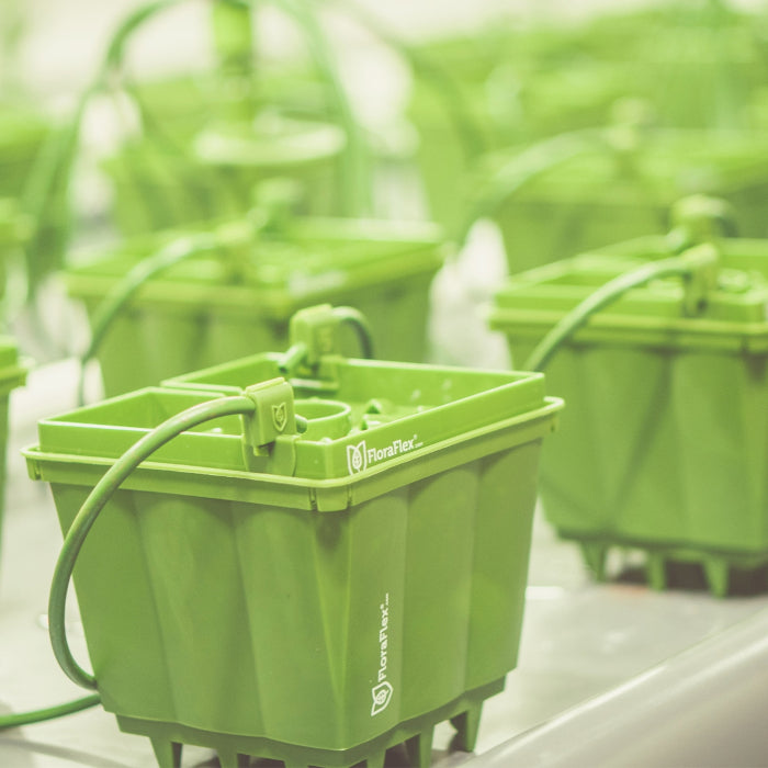 FloraFlex PotPro Pot