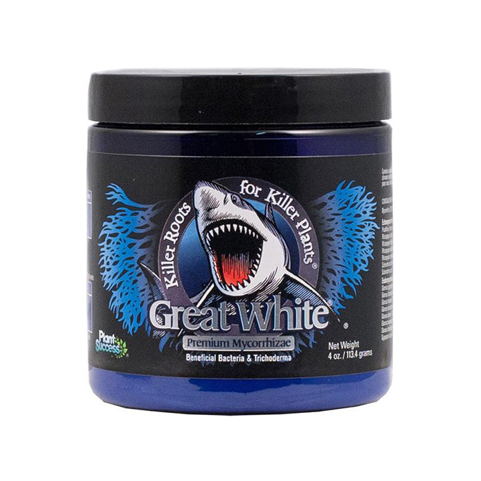 Plant Success Great White