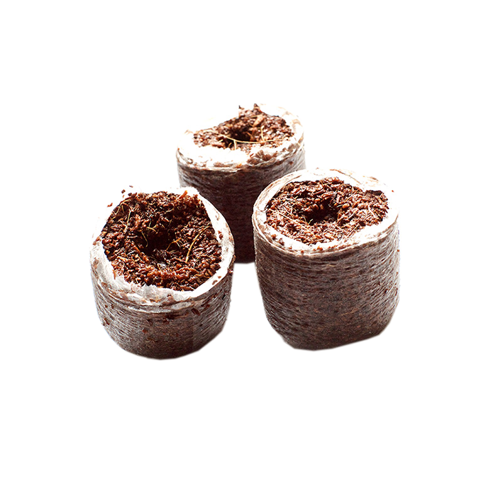 RIOCOCO PCM Coco 1.25" Round Clone & Seedling Plug - Pack of 2500