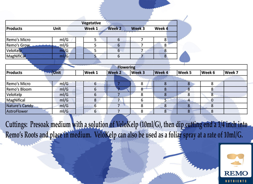 Remo Nutrients Remo's Roots