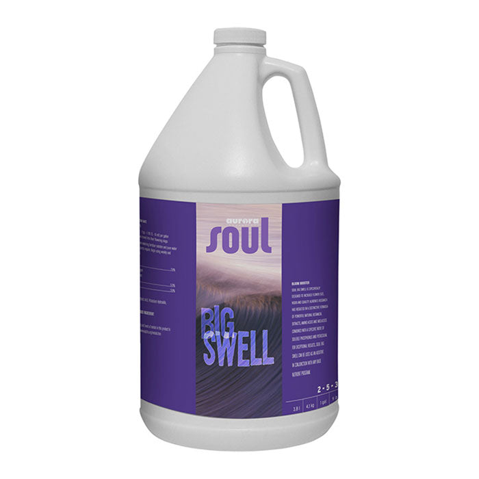 Soul Big Swell, 1 Gallon