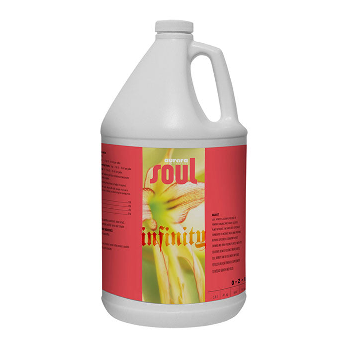 Soul Infinity