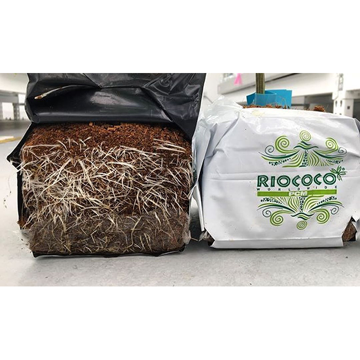 RIOCOCO PCM Closed Top Coco Grow Bag, 1 Gallon - Pack of 44