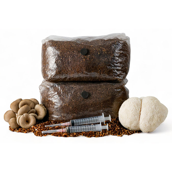 R&R Cultivation Organic DIY Mushroom Grow Kit