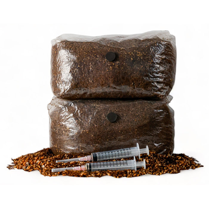 R&R Cultivation Organic DIY Mushroom Grow Kit