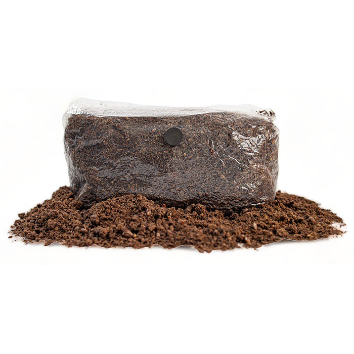 R&R Cultivation Organic Gourmet Mushroom Grow Bag, 5 lb - 2 Pack