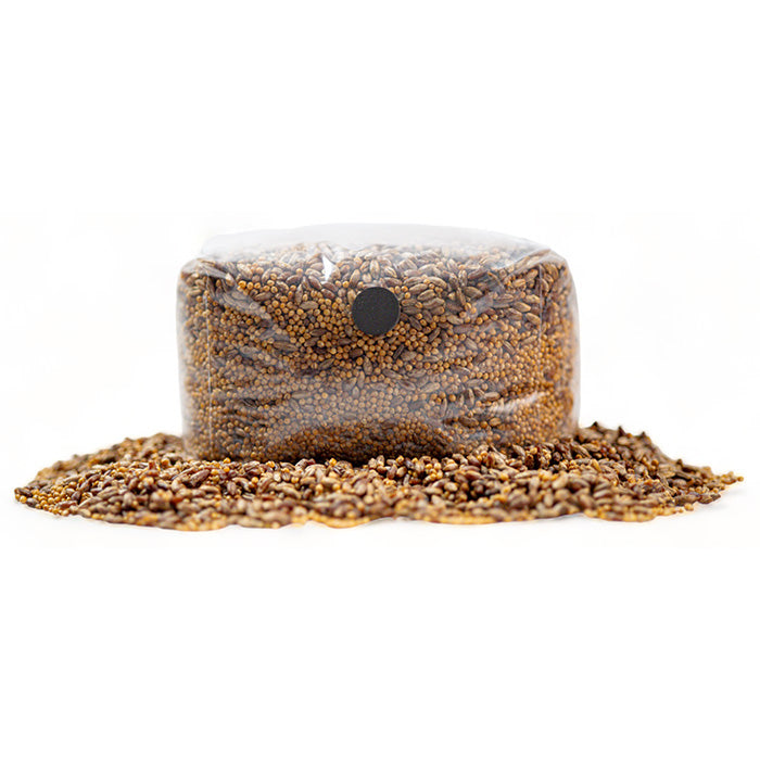 R&R Cultivation Organic Sterilized Grain, 6 lb