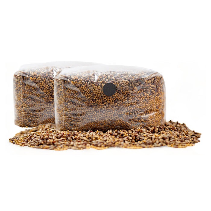 R&R Cultivation Organic Sterilized Grain, 6 lb - 2 Pack
