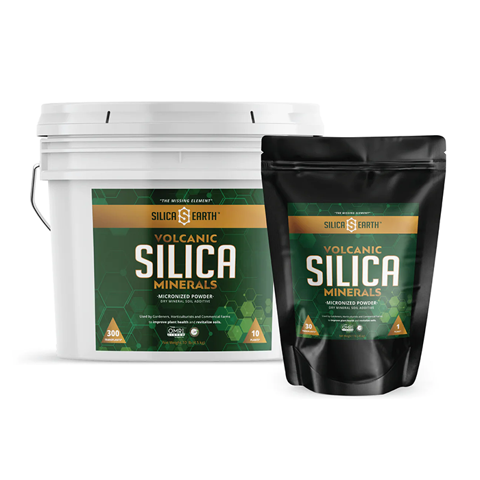 Silica Earth Volcanic Micronized Powder Silica Minerals