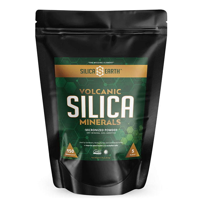 Silica Earth Volcanic Micronized Powder Silica Minerals, 5 lb