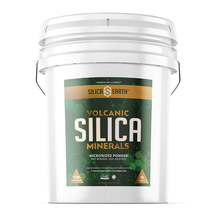 Silica Earth Volcanic Micronized Powder Silica Minerals, 40 lb