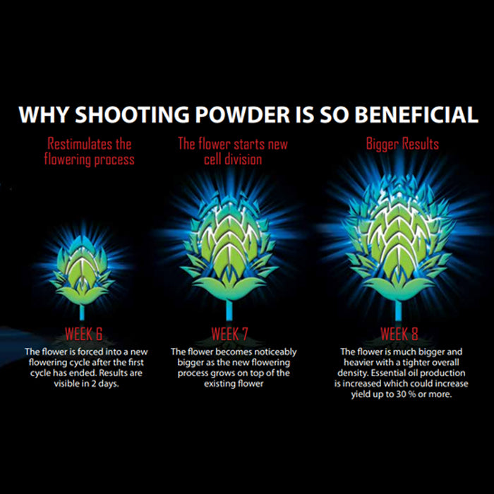 House and Garden Shooting Powder Sachet