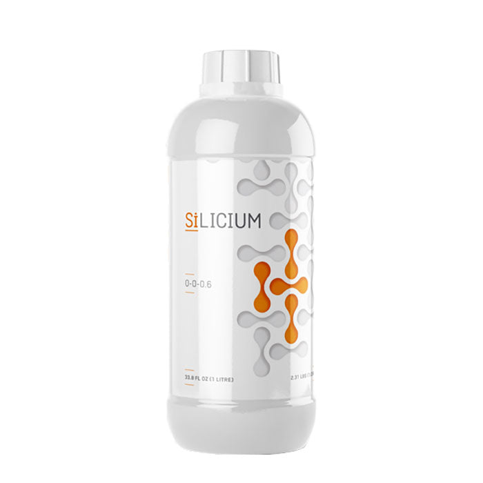 Silicium Mono Silicic Acid, 500 mL