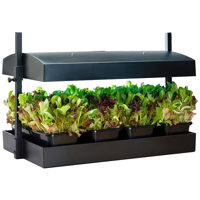 SunBlaster T5HO Grow Light Micro Garden - Black