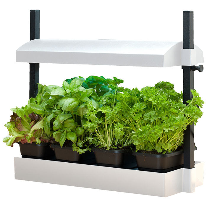 SunBlaster T5HO Grow Light Micro Garden - White