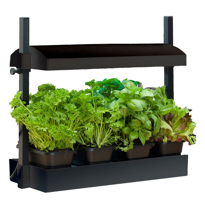 SunBlaster T5HO Grow Light Garden