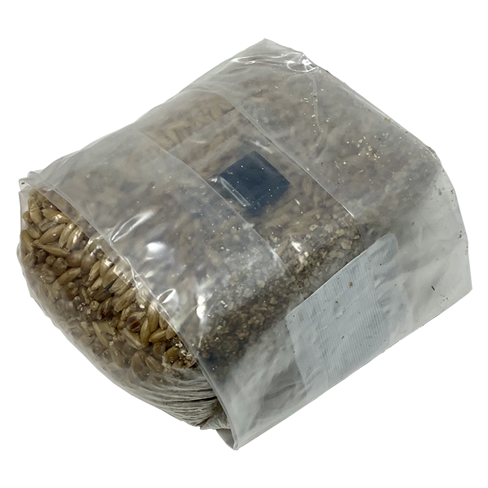 Monster Mushroom Super Spawn Grain Bag, 1 lb - Pack of 2