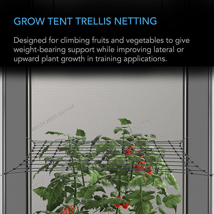 AC Infinity Elastic Grow Tent Trellis Netting, 5' x 5'
