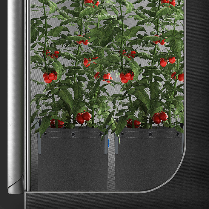 AC Infinity Heavy-Duty Fabric Pot, 15 Gallon, Pack of 5