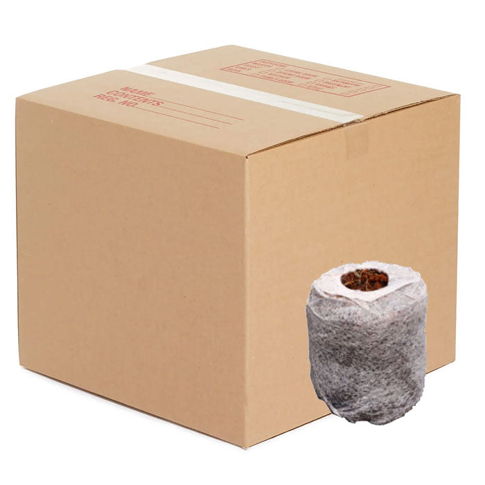 The Coco Depot Coco GroPlug, 42MM - Case of 1500