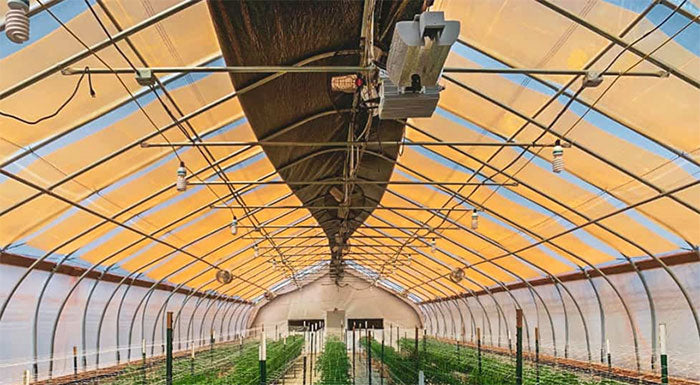 BioTherm Solutions UbiGro QD Greenhouse Film