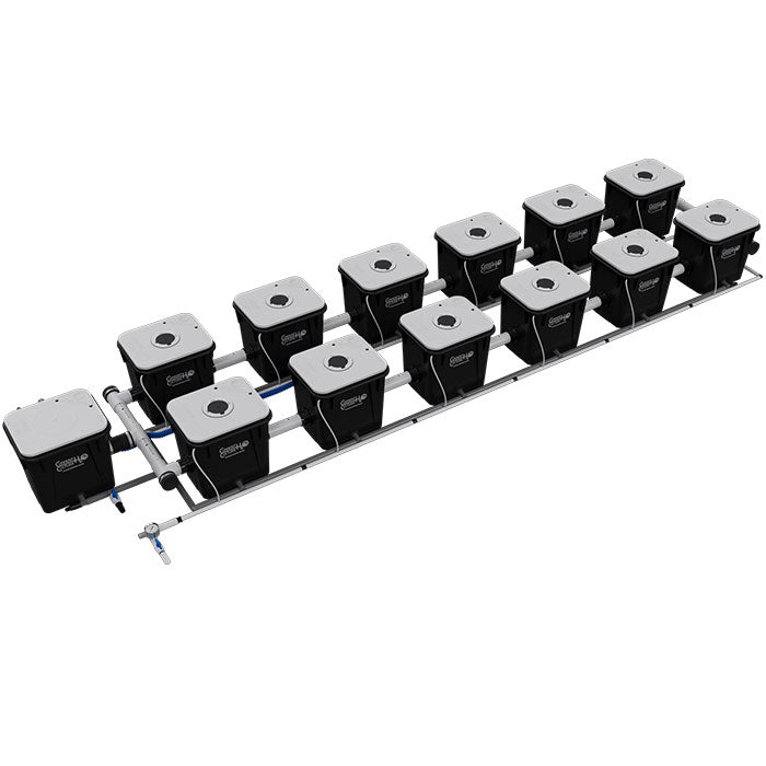 Current Culture Under Current UCXL RDWC System, 12-Site, 2-Row