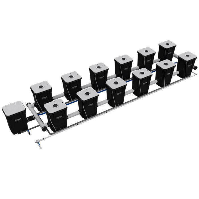 Current Culture Under Current UCXL13 RDWC System