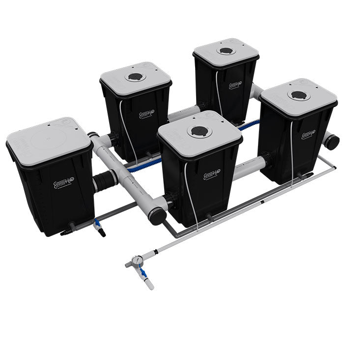 Current Culture Under Current UCXL13 RDWC System, 4-Site, 2-Row