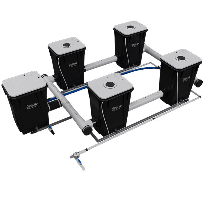 Current Culture Under Current UCXXL13 RDWC System, 4-Site, 2-Row