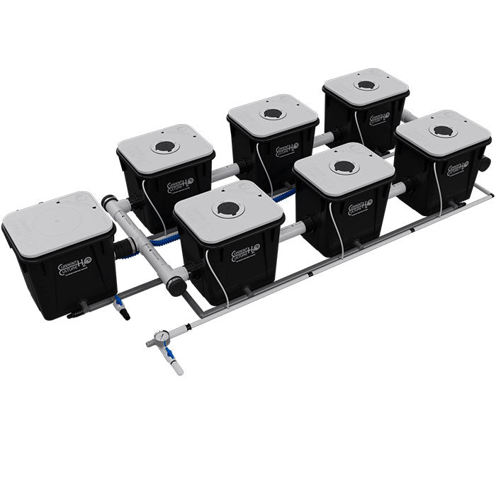 Current Culture Under Current UCXL RDWC System, 6-Site, 2-Row