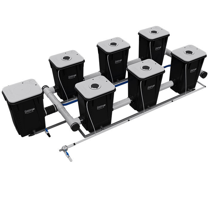 Current Culture Under Current UCXL13 RDWC System, 6-Site, 2-Row