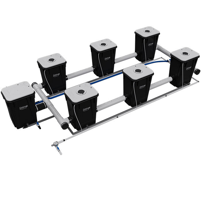 Current Culture Under Current UCXXL13 RDWC System, 6-Site, 2-Row