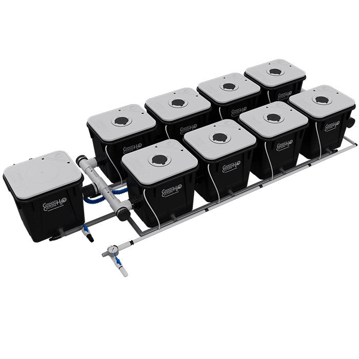 Current Culture Under Current UC RDWC System, 8-Site, 2-Row