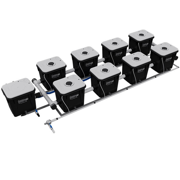 Current Culture Under Current UCXL RDWC System, 8-Site, 2-Row