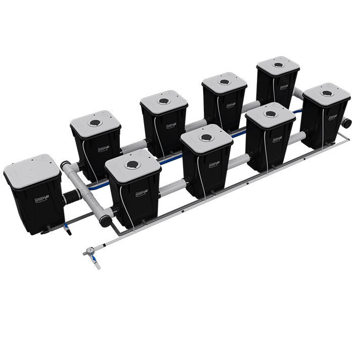 Current Culture Under Current UCXL13 RDWC System