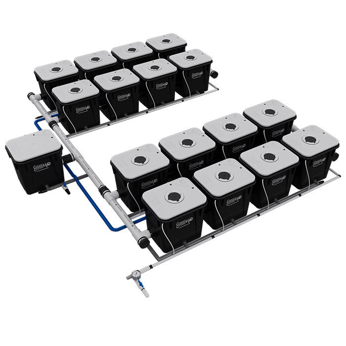 Current Culture Under Current UC RDWC System, 16-Site, 4-Row