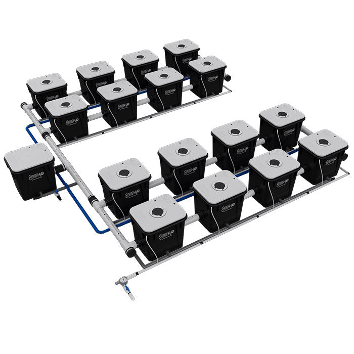Current Culture Under Current UCXL RDWC System, 16-Site, 4-Row