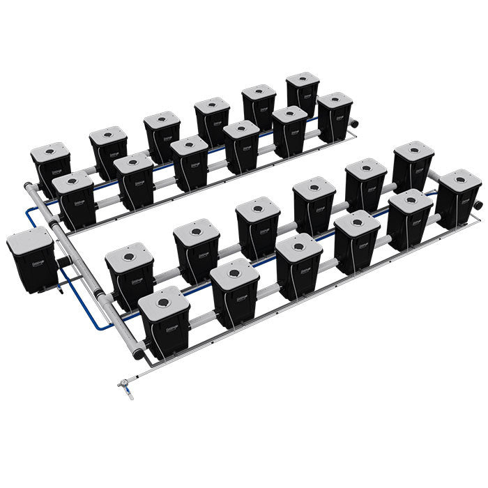 Current Culture Under Current UCXL13 RDWC System