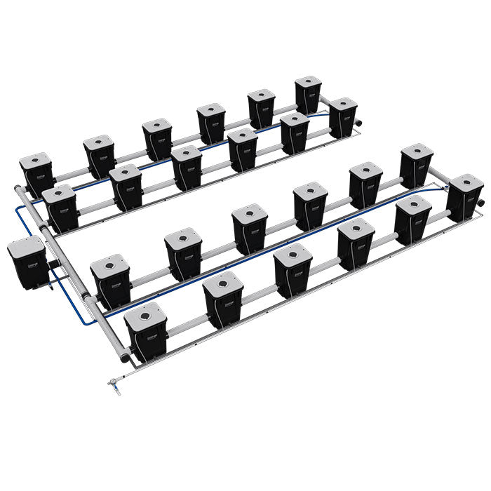 Current Culture Under Current UCXXL13 RDWC System, 24-Site, 4-Row