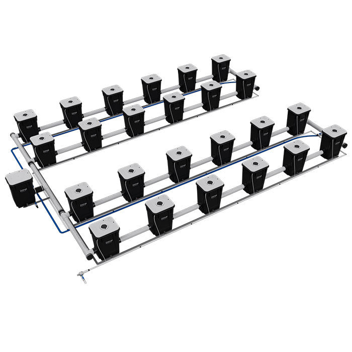 Current Culture Under Current UCXXL13 RDWC System