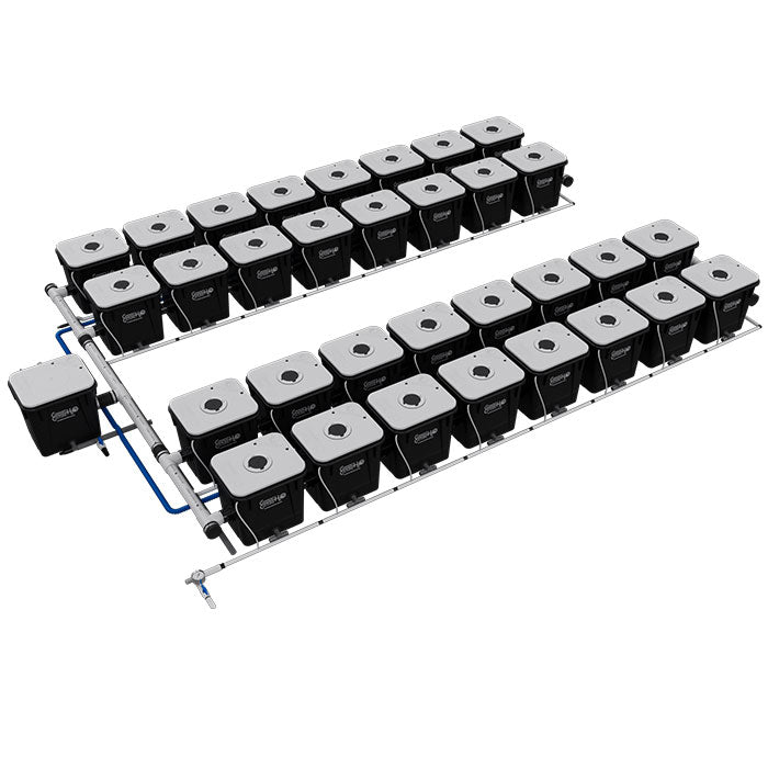 Current Culture Under Current UC RDWC System, 32-Site, 4-Row