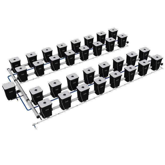 Current Culture Under Current UCXL13 RDWC System