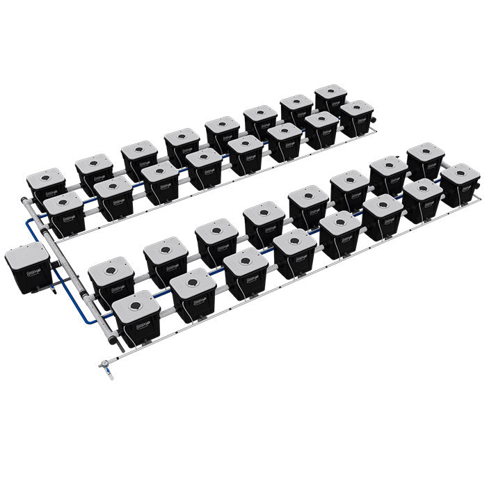 Current Culture Under Current UCXL RDWC System, 32-Site, 4-Row