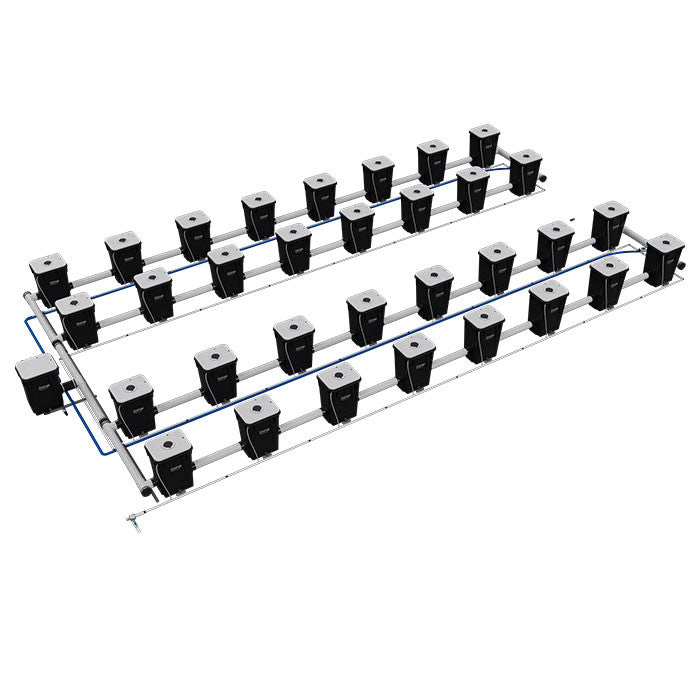 Current Culture Under Current UCXXL13 RDWC System