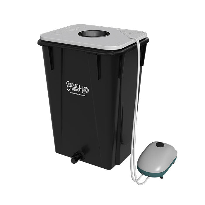 Current Culture Under Current Solo