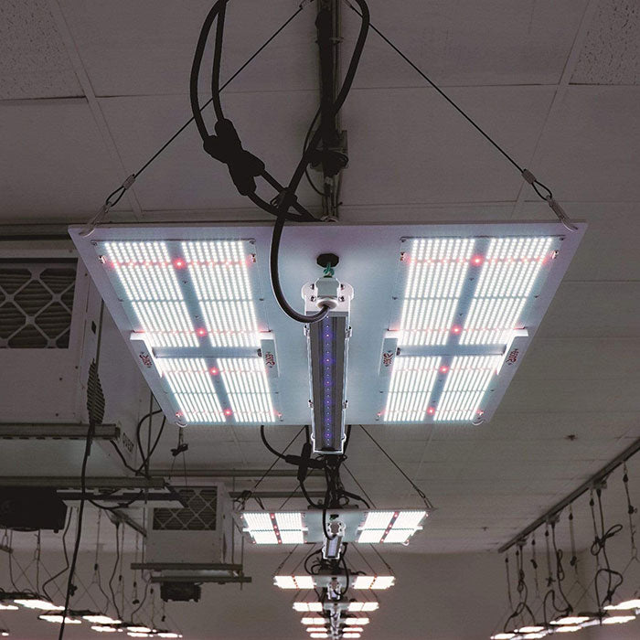 Horticulture Lighting Group 30 UVA Supplement LED Grow Light Bar, 240 Volt