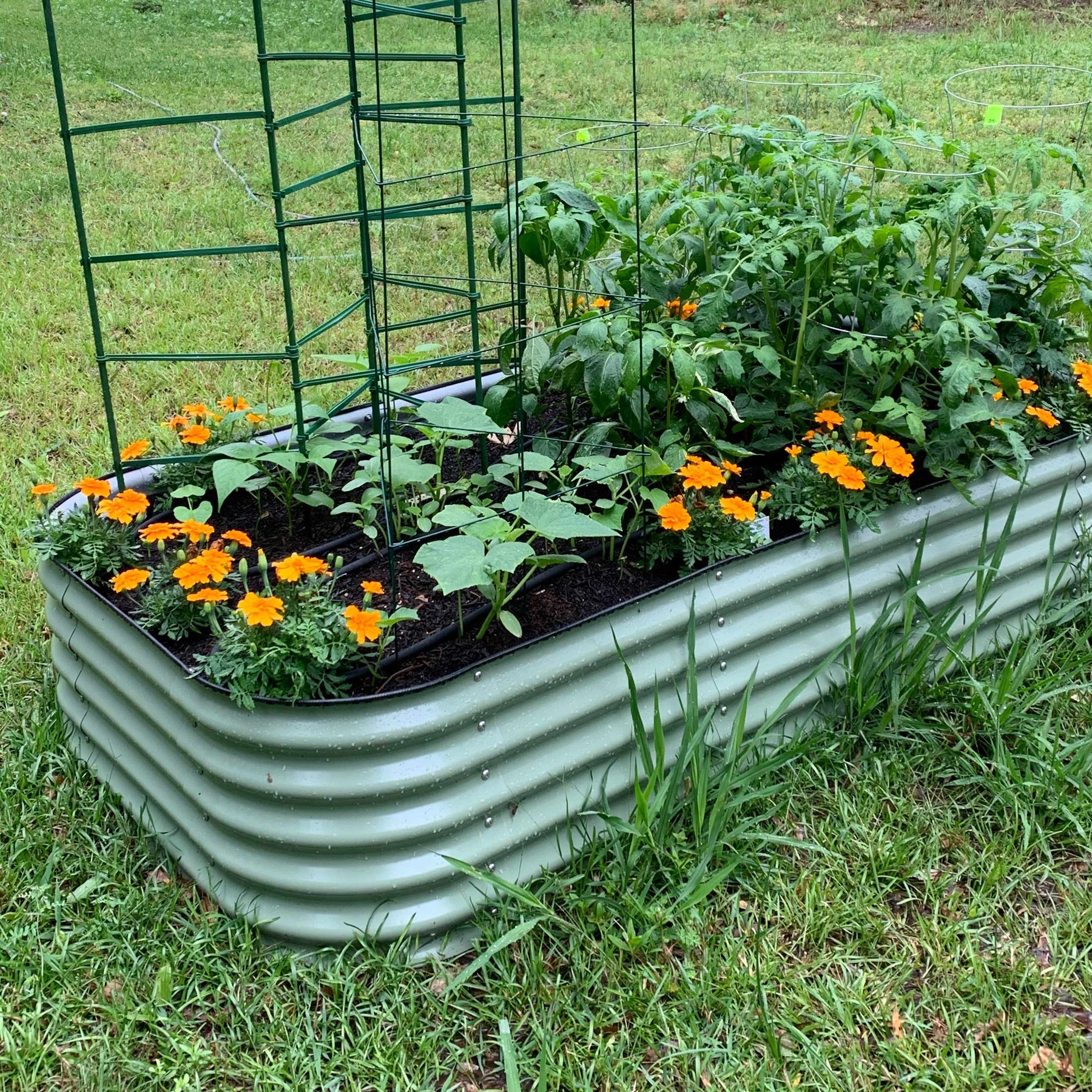 Vego Garden 17 Inch Tall 6 in 1 Modular Metal Raised Garden Bed Kit - British Green