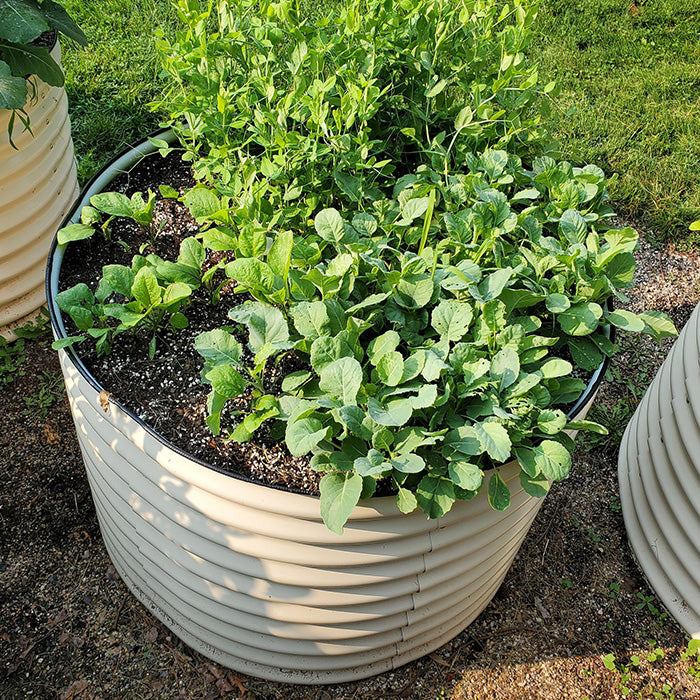 Vego Garden 32 Inch Tall 42 Wide Round Metal Raised Garden Bed - Modern Gray